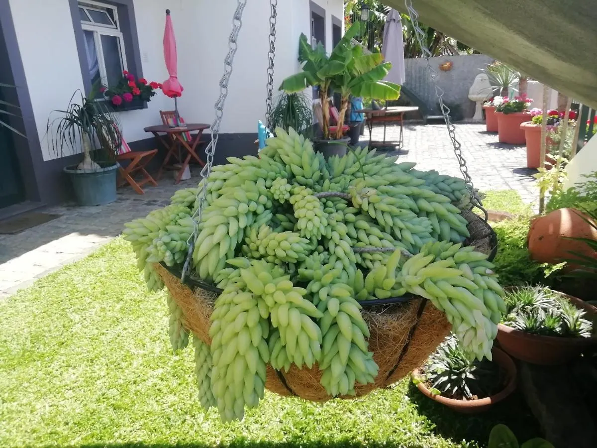 Madeira Holiday Flats Apartment Funchal  0*, Funchal (Madeira) Portugal