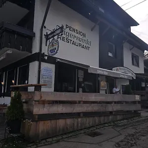 https://pension-restaurant-jagerwinkl.com-bavaria.com